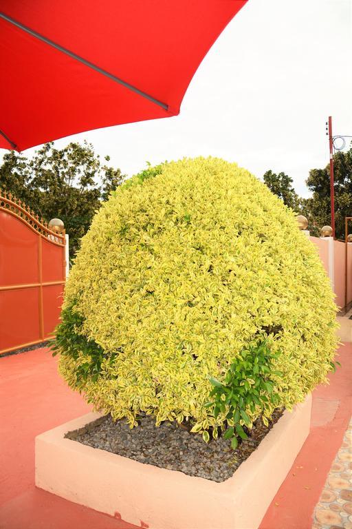 Alona Studios Apartment Hotel Panglao Zewnętrze zdjęcie