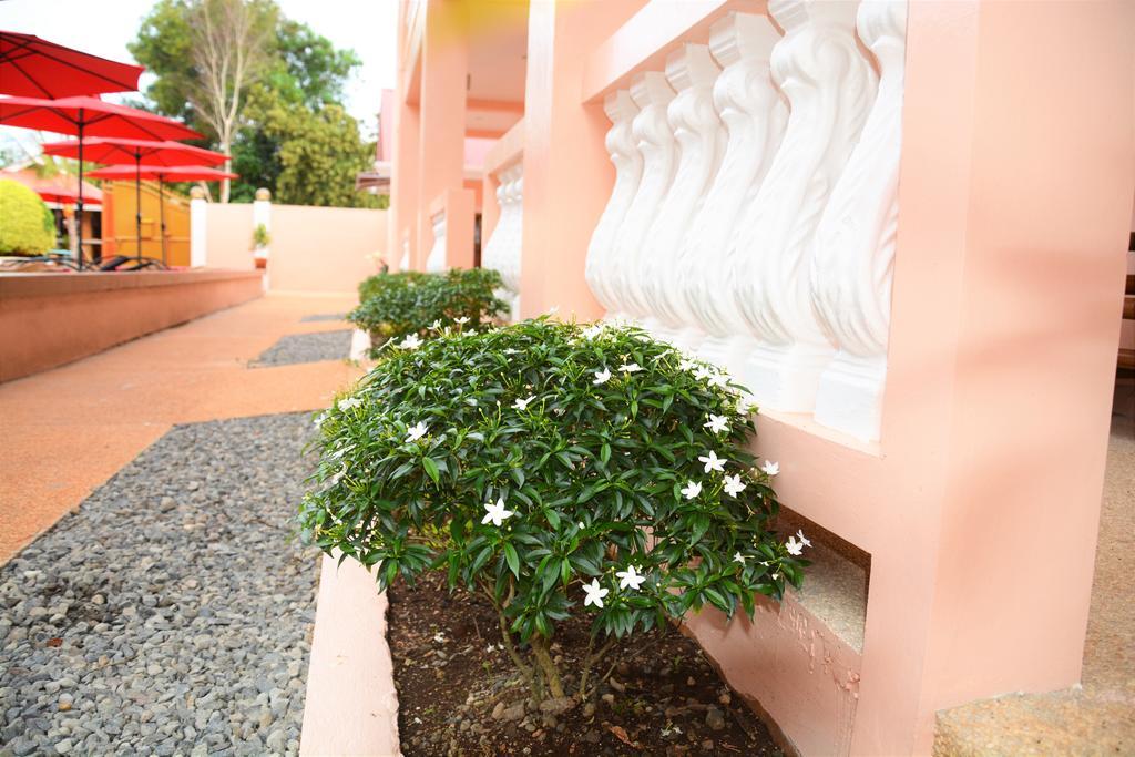 Alona Studios Apartment Hotel Panglao Zewnętrze zdjęcie