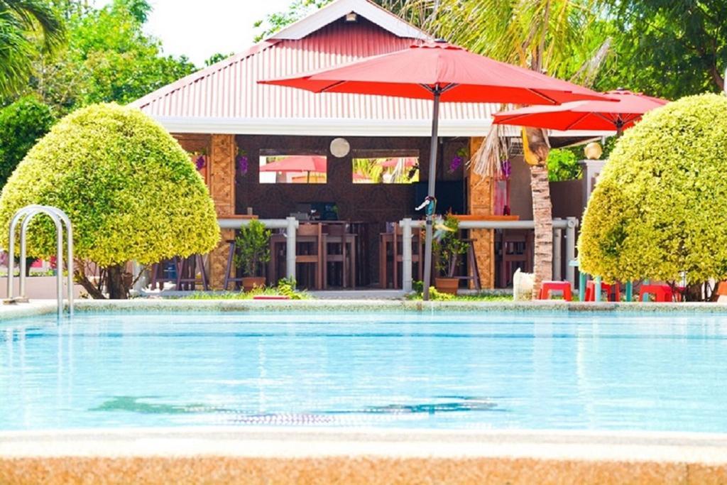 Alona Studios Apartment Hotel Panglao Zewnętrze zdjęcie